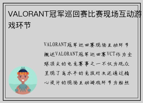 VALORANT冠军巡回赛比赛现场互动游戏环节