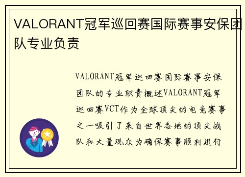 VALORANT冠军巡回赛国际赛事安保团队专业负责