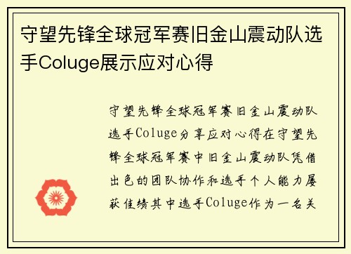 守望先锋全球冠军赛旧金山震动队选手Coluge展示应对心得