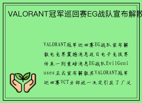 VALORANT冠军巡回赛EG战队宣布解散